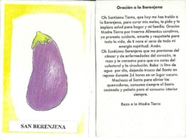 Matambre Mag